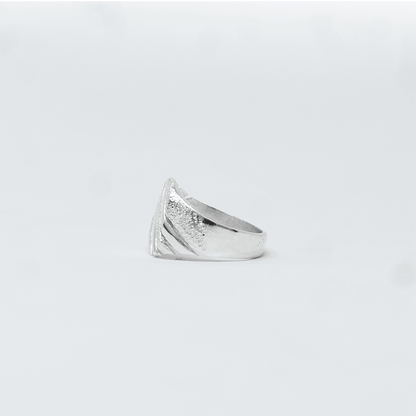 Photo principale sur fond neutre, vue de face nette de la bague GORA Argent en argent massif 925 (poincon 925), signe WB Paris (Westaff Bijouterie). Anneau au galbe net, surface argentee polie, tour de doigt ajuste, port au doigt. Bijou unisexe homme et femme, ideal en cadeau. Recherches : bague argent 925, bague argent homme, chevaliere argent, achat bijou argent pas cher. Argent 925 hypoallergenique, agreable a porter au doigt. Livraison rapide et garantie a vie WB Paris.