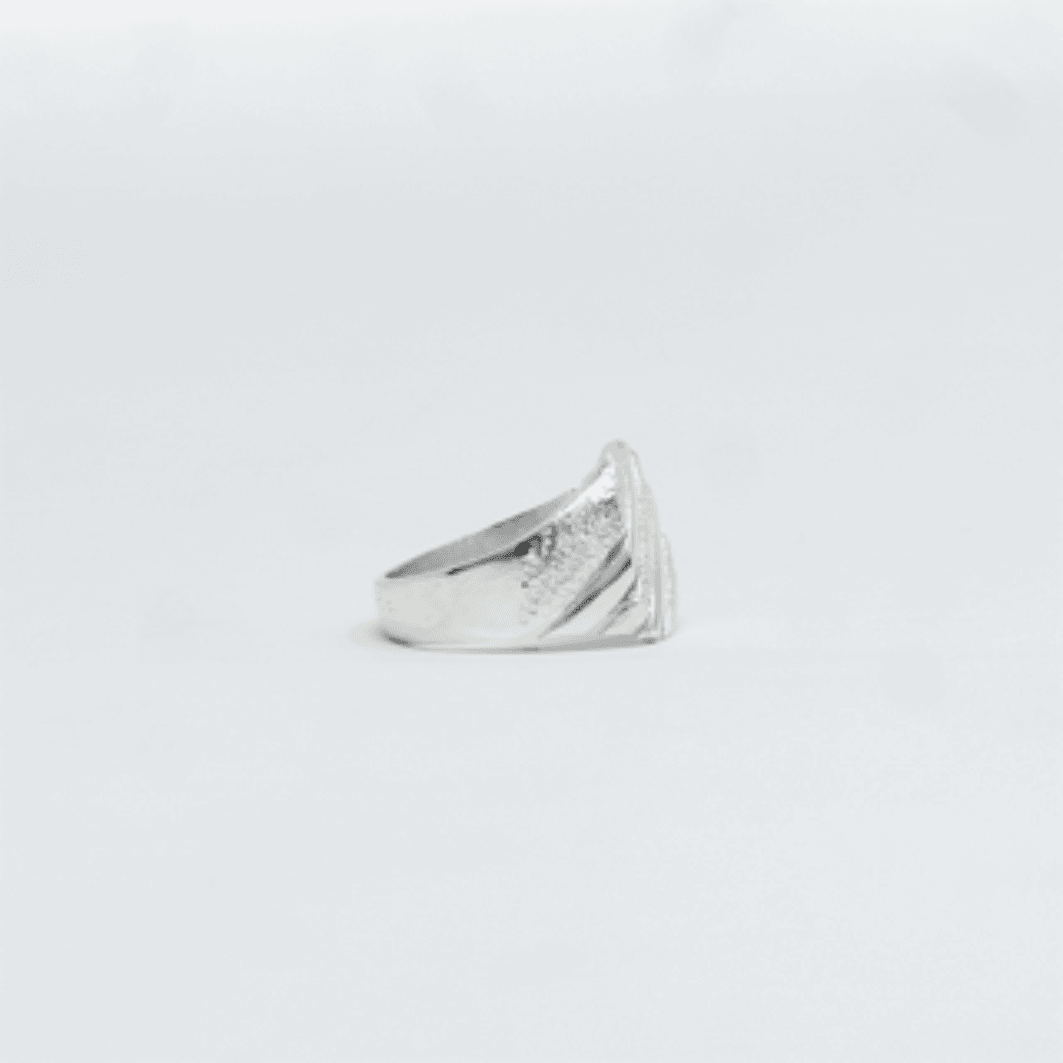 Second plan du bijou, de la bague Chevaliere GORA Argent en argent 925 (poincon 925), signe WB Paris (Westaff Bijouterie). Anneau au galbe net, tour de doigt ajuste, port au doigt ; on remarque la maille reguliere et brillante et la finition lisse sans asperite. Style elegant, ideal mixte — cadeau anniversaire. Recherches : argent massif, argent 925, cadeau anniversaire, made in France. Argent 925 hypoallergenique. Mot-cle : bijou argent.