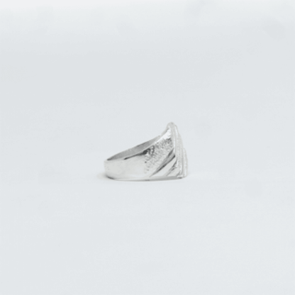 Second plan du bijou, de la bague Chevaliere GORA Argent en argent 925 (poincon 925), signe WB Paris (Westaff Bijouterie). Anneau au galbe net, tour de doigt ajuste, port au doigt ; on remarque la maille reguliere et brillante et la finition lisse sans asperite. Style elegant, ideal mixte — cadeau anniversaire. Recherches : argent massif, argent 925, cadeau anniversaire, made in France. Argent 925 hypoallergenique. Mot-cle : bijou argent.