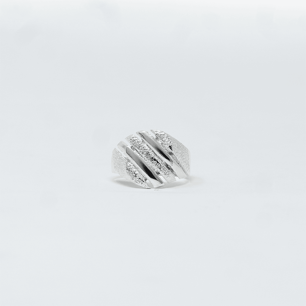 Vue complementaire, de la bague Chevaliere GORA Argent en argent massif 925, signe WB Paris (Westaff Bijouterie). Anneau au galbe net, tour de doigt ajuste, port au doigt ; on remarque l'epaisseur nette de la maille et la longueur ajustable. Style minimaliste, ideal homme et femme — a porter au quotidien. Recherches : bijou argent, argent sterling, a porter au quotidien, bon rapport qualite-prix. Argent 925 hypoallergenique. Mot-cle : argent sterling.