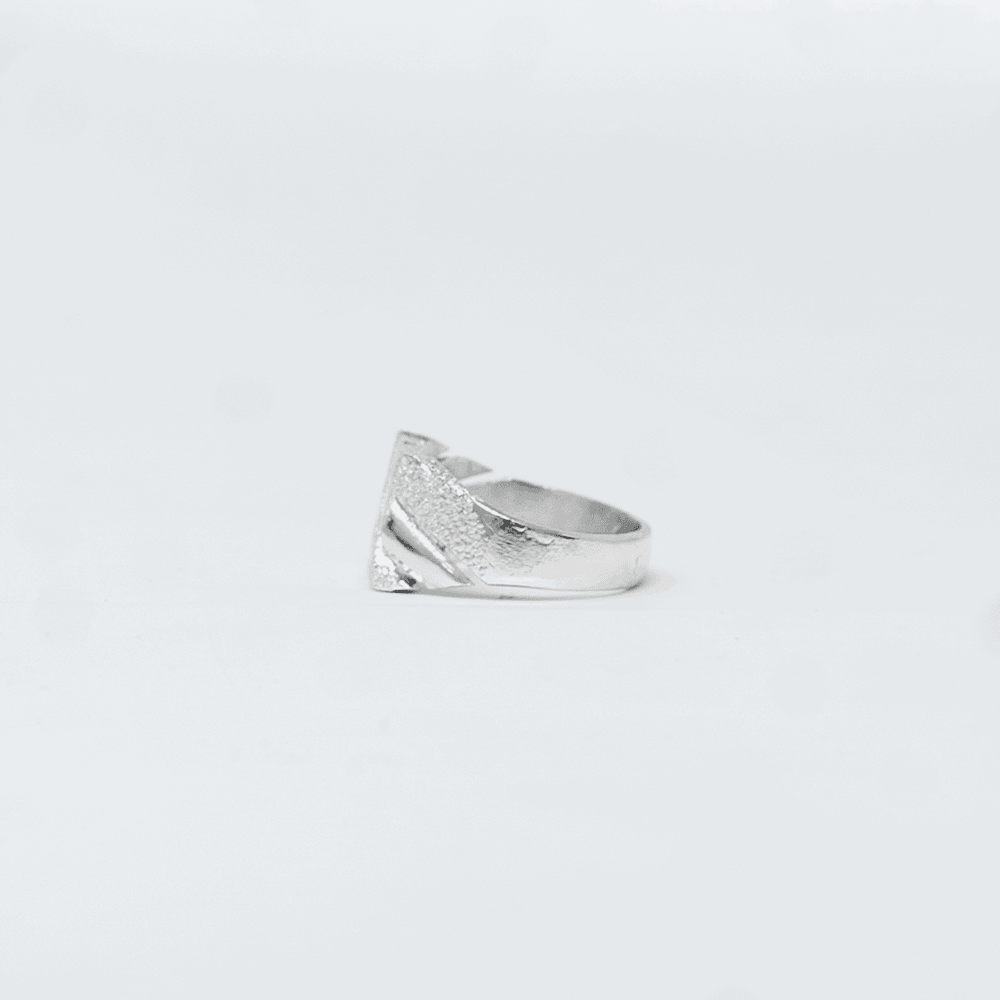 Vue alternative, de la bague TERANGUA Argent en argent veritable 925, signe WB Paris (Westaff Bijouterie). Anneau au galbe net, tour de doigt ajuste, port au doigt ; on remarque la patine durable et les reflets nets du metal. Style elegant, ideal mixte — cadeau anniversaire. Recherches : bijou argent, argent 925, cadeau anniversaire, fabrication soignee. Argent 925 hypoallergenique. Cadeau anniversaire a offrir toute l'annee. Mot-cle : argent massif. Entretien simple : essuyer avec un chiffon doux.