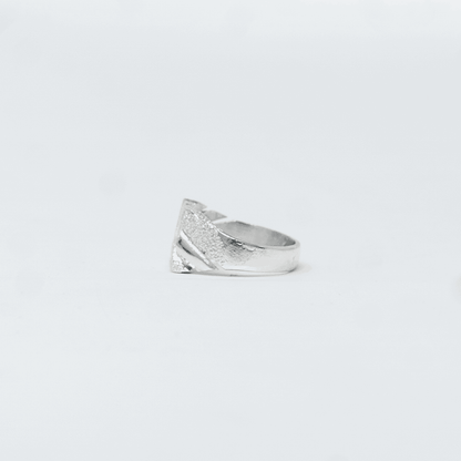 Vue alternative, de la bague TERANGUA Argent en argent veritable 925, signe WB Paris (Westaff Bijouterie). Anneau au galbe net, tour de doigt ajuste, port au doigt ; on remarque la patine durable et les reflets nets du metal. Style elegant, ideal mixte — cadeau anniversaire. Recherches : bijou argent, argent 925, cadeau anniversaire, fabrication soignee. Argent 925 hypoallergenique. Cadeau anniversaire a offrir toute l'annee. Mot-cle : argent massif. Entretien simple : essuyer avec un chiffon doux.