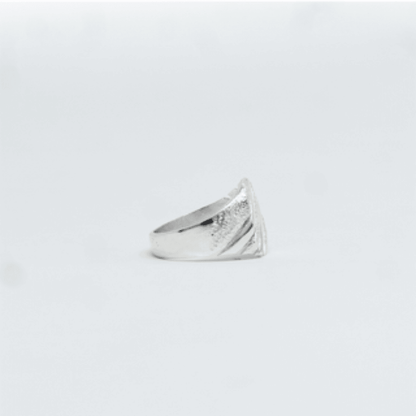 Vue alternative, de la bague TERANGUA Argent en argent 925 (poincon 925), signe WB Paris (Westaff Bijouterie). Anneau au galbe net, tour de doigt ajuste, port au doigt ; on remarque la maille reguliere et brillante et la finition lisse sans asperite. Style minimaliste, ideal unisexe — cadeau fete des meres. Recherches : argent sterling, bijou argent, cadeau fete des meres, garantie a vie. Argent 925 hypoallergenique. Cadeau fete des meres a offrir toute l'annee. Mot-cle : argent sterling.